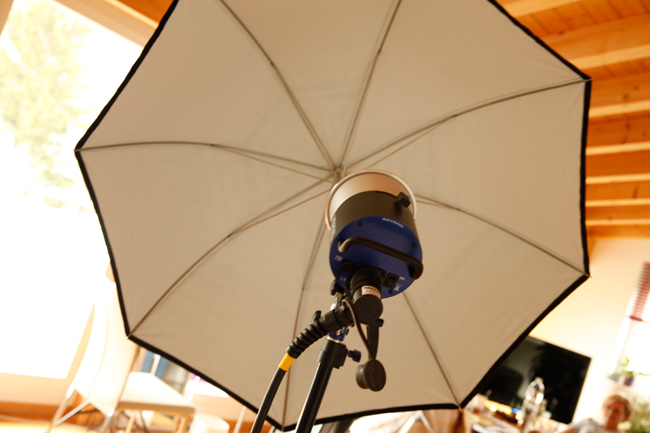 the flat umbrella reflector to light up shadows