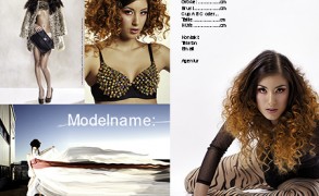 Modelbiz: Das Portfolio